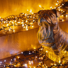 ডিড্রেসযোগ্য এলইডি স্ট্রিপ লাইট সিরিজ ক্লিয়ার কনকভ লেন্স সহ 240 ভোল্ট ডিমডাবল ওভার 30000 ঘন্টা