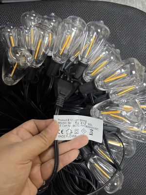 প্যাটিও লাইট এবং এসি 110V/220V ইনপুট ভোল্টেজ দিয়ে আপনার বিবাহের একটি স্পর্শ যোগ করুন