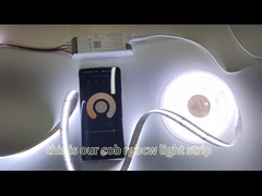 COB স্ট্রিপ লাইট