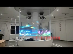 নমনীয় ফ্লিপ-চিপ প্রদর্শন