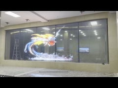 নমনীয় স্বচ্ছ পর্দা -প্রকল্পের ক্ষেত্রে