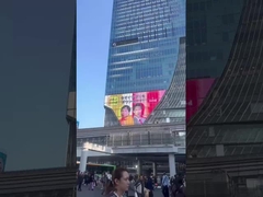 নমনীয় প্রদর্শন