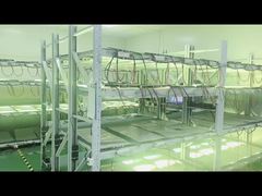 উৎপাদন থেকে বয়স বাড়ানো পর্যন্ত সময়